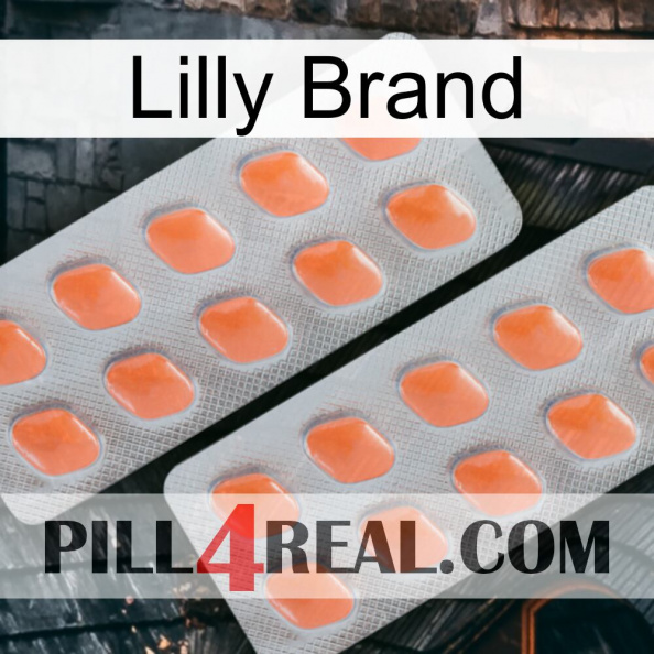 Lilly Brand 27.jpg